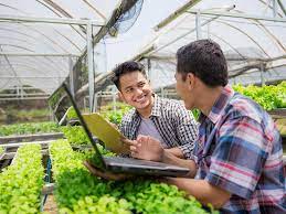 Universitas Pertanian Terbaik di Indonesia: Rekomendasi untuk Calon Mahasiswa