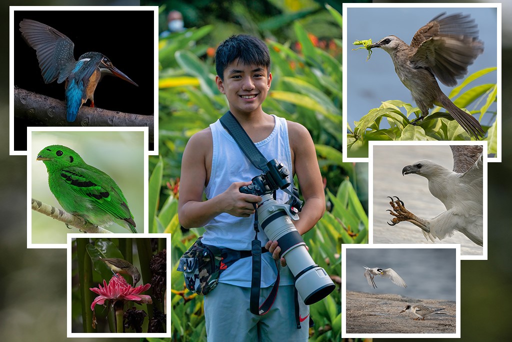 Pendidikan Lewat Fotografi Satwa Liar